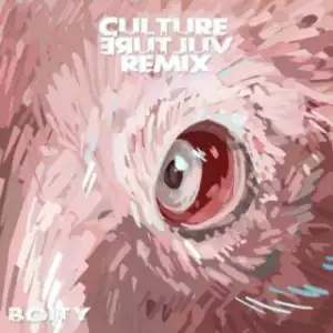 25k - Culture Vulture (Remix) ft. Boity